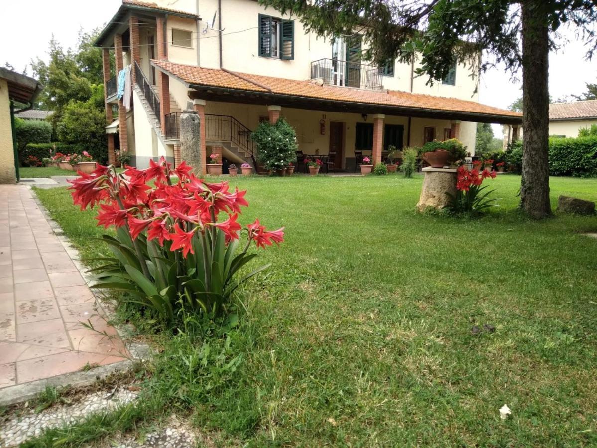 Agriturismo Le Chicche Di Mafalda Montemerano Dış mekan fotoğraf