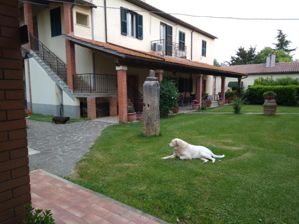 Agriturismo Le Chicche Di Mafalda Montemerano Dış mekan fotoğraf