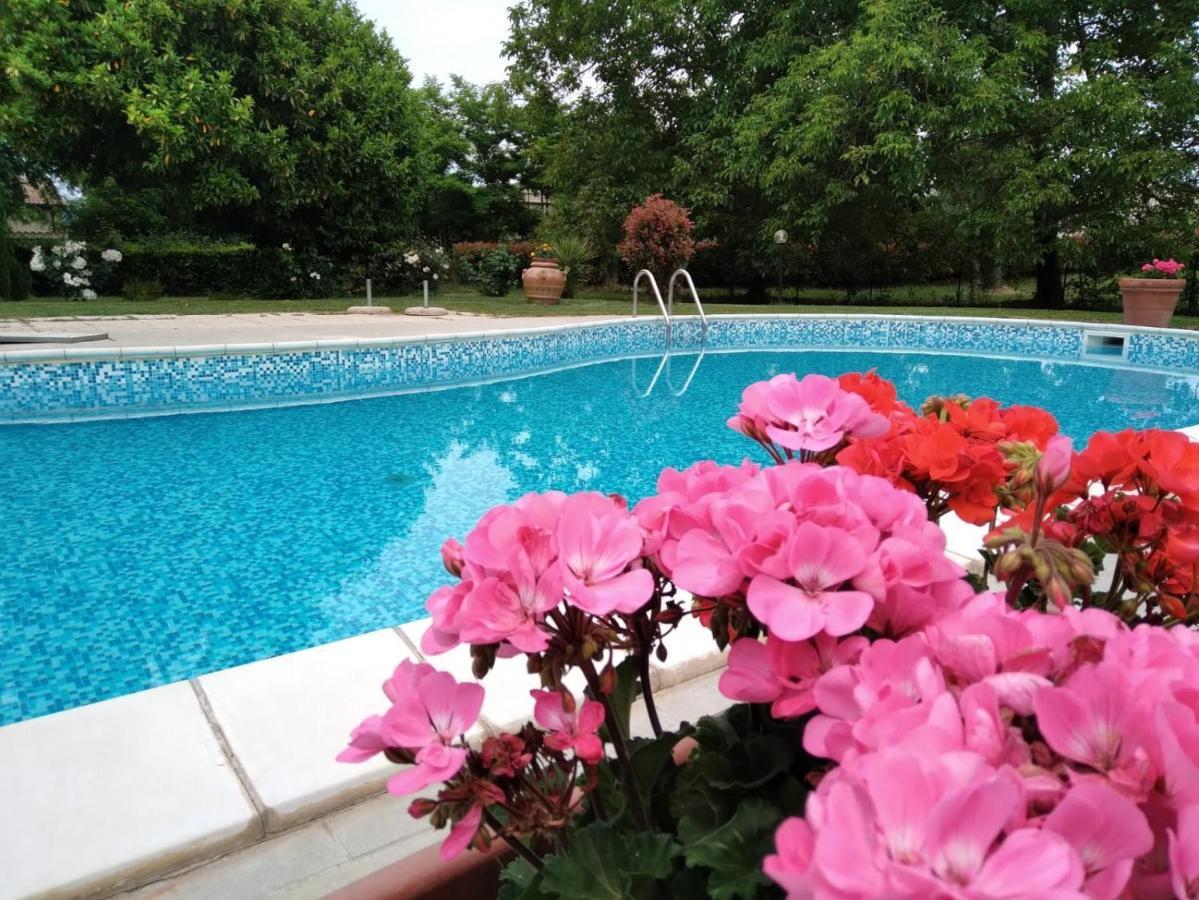 Agriturismo Le Chicche Di Mafalda Montemerano Dış mekan fotoğraf